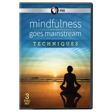 Imagem de Mindfulness Goes Mainstream - Techniques DVD