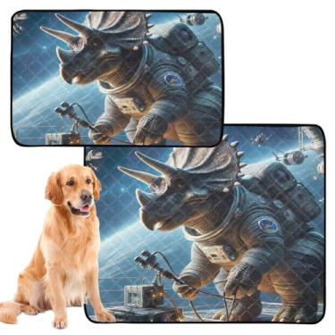 Imagem de Astronauta Dinossauros Engraçados para Animais de Estimação Lavável Cachorro Pee Pads Impermeável Tapete de Cercadinho Reutilizável Gato Absorvente Almofadas de Treinamento de Cachorros, Médio +