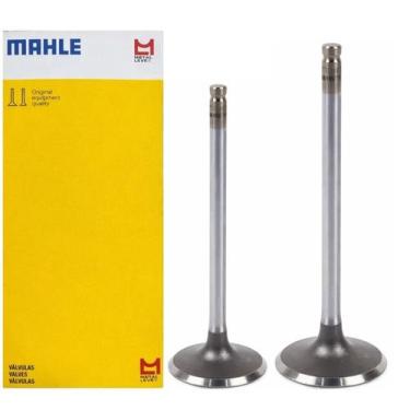 Imagem de Válvula Admissão E Escape Biz 125 06 Á 24, Sky 125 11 Á 15 - Metal Lev