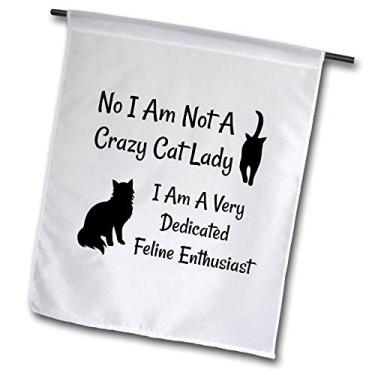 Imagem de 3dRose fl_319351_1 Bandeira, Imagem do Não I Am Not A Crazy Cat Lady I Am A Feline Enthusiast