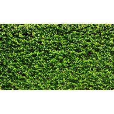 Imagem de Painel De Lona Imita Muro Inglês - Fabrika de Festa, 200x200cm