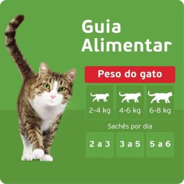 Imagem de Kit Ração Úmida Peixe ao Molho para Gatos Adultos 24 Unidades Kitekat 