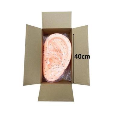 Imagem de Modelo Profissional De Acupuntura Em PVC Em Tamanho Real Para Ensino D