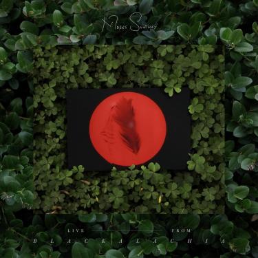 Imagem de Live From Blackalachia (Clear Green) [Disco de Vinil]