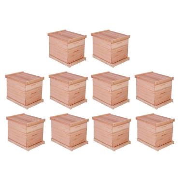 Imagem de Kit 10 Caixas Abelha Padrão Langstroth Eucalipto(Arame/Ilhoses)