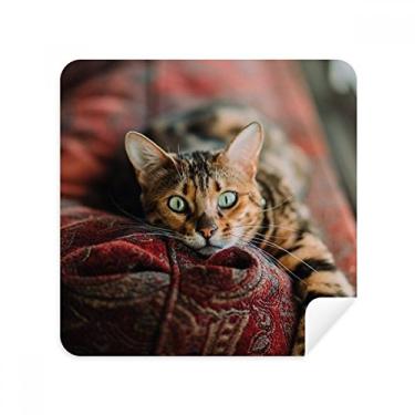Imagem de Animal Green Eye Cat Photograph Glasses Pano Limpador de Tela Tecido Camurça Pacote com 2