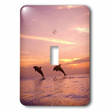 Imagem de 3dRose LLC lsp_86567_1 Bottlenose Dolphins, Roatan, Honduras Sa12 Swe0008 Stuart Westmorland Interruptor único
