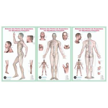 Imagem de Mapa - Sistema dos Ptos de acupuntura nos Meridianos Principais - SEM 