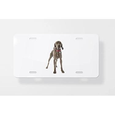 Imagem de Capa para placa de carro Weimaraner – Capa para placa de carro – Capa para moldura da placa de carro 15 x 30 cm