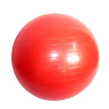 Imagem de Bola de Pilates Yoga Abdominal Fitness 65cm até 300kg Exercícios Bola de Ginástica Reforçada Dasshaus (Vermelho)