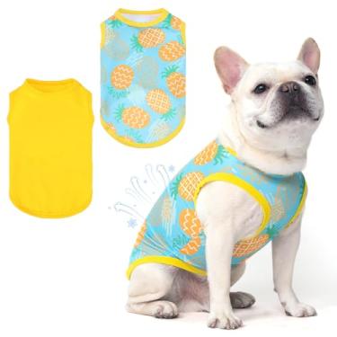 Imagem de KOOLTAIL Pacote com 2 camisetas refrescantes para cães, colete leve com estampa moderna para cães pequenos, médios e grandes (abacaxi amarelo PP)