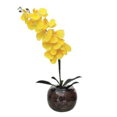 Imagem de Arranjo flores orquídea Flores amarela no vaso terrário - La Caza Stor