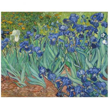 Imagem de Kit de pintura floral por números para adultos - Pintura de jardim de íris DIY em tela, conjunto de tinta acrílica, adequado para iniciantes, arte para decoração de casa ou presentes (moldura de 30 x