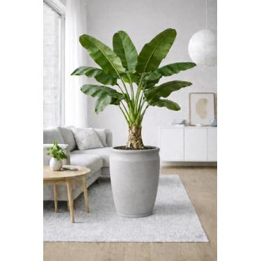 Imagem de Vaso para Plantas Resistente e Moderno com Prato Coletor de Água Incluso (CINZA)