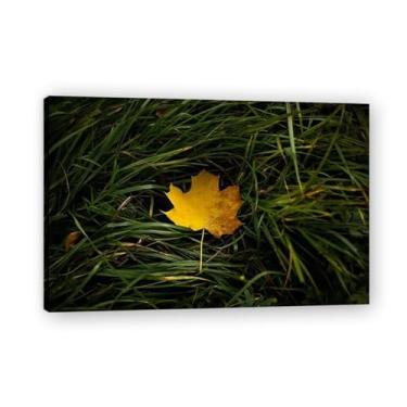 Imagem de LKXGRRSFG Impressão em tela de paisagem de outono The Only One In The Grass – Impressão HD realista de cenário de outono para decoração de parede de casa 23 x 75 cm