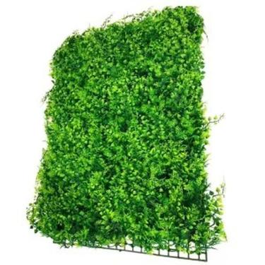 Imagem de Placa Parede Verde Samambaia Muro Inglês KIT 20 Unid