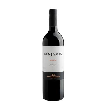 Imagem de Vinho Argentino Benjamin Malbec Tinto 750ml