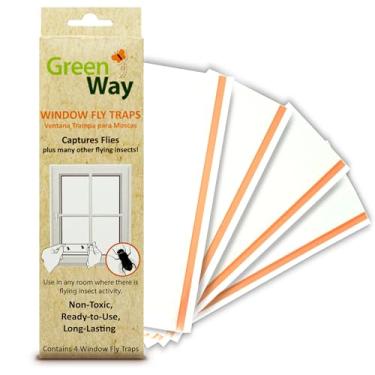Imagem de Insects Limited Armadilhas para moscas de janela Greenway (4 armadilhas) - Armadilhas adesivas para mosquitos e moscas - Alternativa para placas de cola recarregáveis