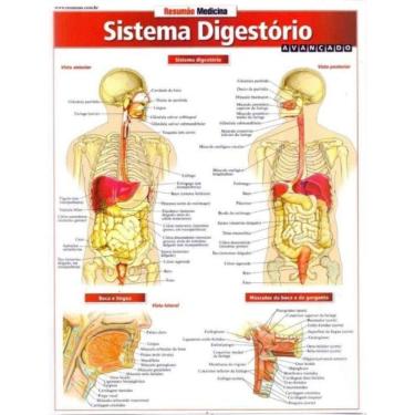 Imagem de Resumao Medicina - Sistema Digestorio Avancado