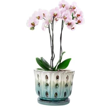 Imagem de NiSevenLiving Vasos de orquídea com furos anexados pires de 15 cm - 1 peça de vasos pequenos de cerâmica para repotting, plantador decorativo de orquídeas de cerâmica com orifício para crescimento