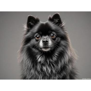 Imagem de UPABLUNSO Black Pomeranian Dog Diamond Art Kits DIY Stitch Diamond Painting Paint by Diamonds 5D Full Round Drill Bead Painting para iniciantes, casa, sala de estar, quarto, escritório, decoração 30 x