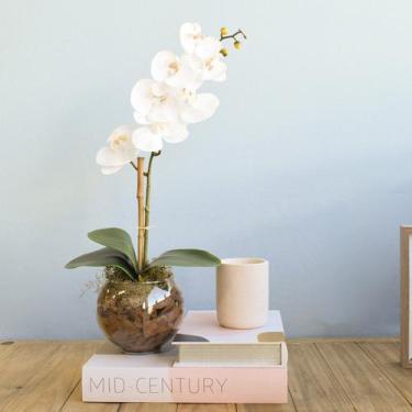 Imagem de Arranjo de Orquídea Branca de Silicone no Vaso Vidro P  Formosinha