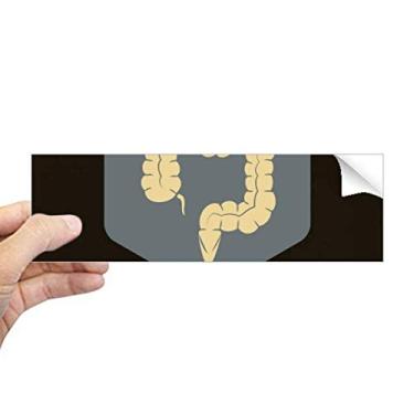 Imagem de DIYthinker Body Organs Adesivo retangular grande para para-choque intestino para janela notebook