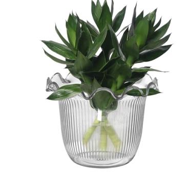 Imagem de Vaso de flores transparente - Vaso hidropônico | Vaso hidropônico para de fundo para fotos, férias, hotel, saguão, estante de livros, palco de eventos, local de trabalho, cozinha, jantar floral