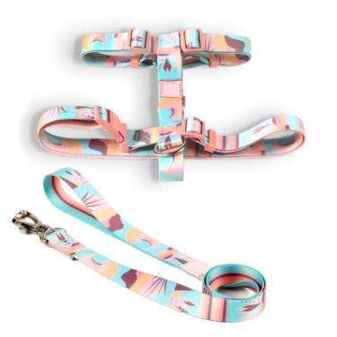 Imagem de Coleira Peitoral H e Guia para Cachorro Fita Premium 100% Poliéster Fecho Resistente(Atacama,PP)