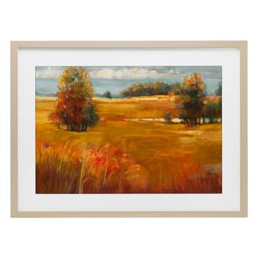 Imagem de Stupell Industries Impressão emoldurada de bétula do campo claro de outubro sob vidro, design de Carol Rowan, 35,5 x 50,8 cm