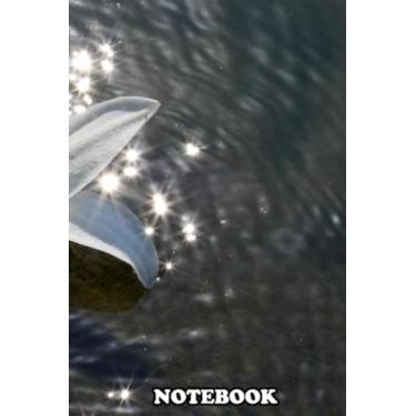 Imagem de Notebook: Pure White Water Lily On A Fresh Pond , Journal for Writing, College Ruled Size 6" x 9", 110 Pages