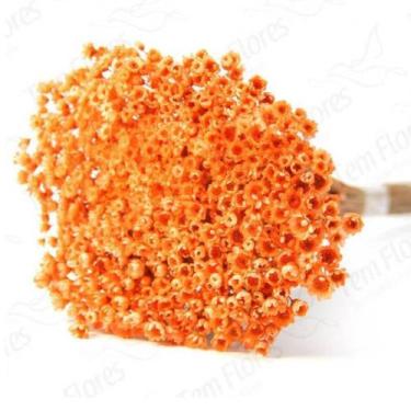 Imagem de 300 Sempre Viva Florzinha I Flores Desidratadas - Decoração Enfeite Se