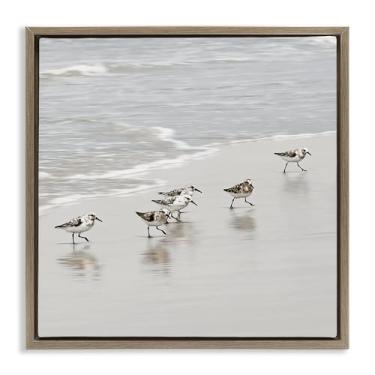 Imagem de Stupell Industries Arte de parede em tela flutuante marrom pássaros sandpiper scurrying por Natalie Carpentieri, 63 x 63 cm