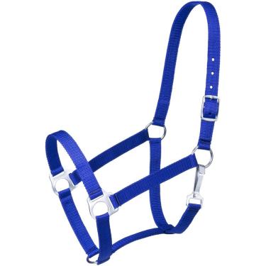 Imagem de Tough 1 Cabresto econômico Tough-1, azul royal, cavalo