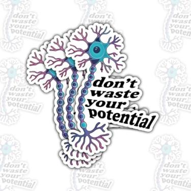 Imagem de 3 adesivos Don't Waste Your Potencial, adesivo engraçado de célula cerebral de neurônio de 7,6 cm à prova d'água para laptop, garrafa de água, capa de telefone, Kindle, prancheta, caderno, copo
