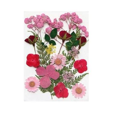 Imagem de Flores Naturais Prensadas E Secas Para Resina Epóxi, Arte Em Unhas DIY