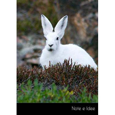 Imagem de Note e Idee: Taccuino/quaderno grande coniglietto polare A4 a righe