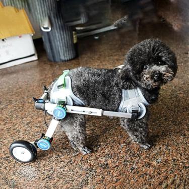 Imagem de Cadeira de rodas ajustável para cães pequenos para pernas traseiras, suporte dobrável de 2 rodas para Dachshunds e animais de estimação com deficiência - Cadeira de rodas para cães com economia de