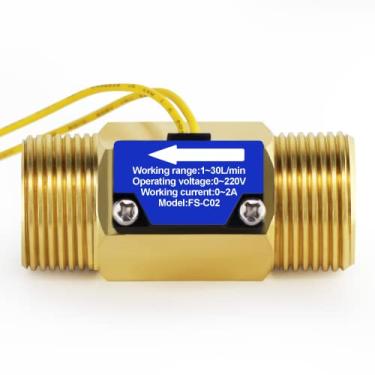 Imagem de DIGITEN Fs-C02 G3/4" Bsp Interruptor De Fluxo De Água Com Rosca Macho 0-2A/ 0-220V (Ac Ou Dc) Para Aquecedor De Água De Fluxo De Chuveiro