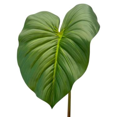 Imagem de Haste de Folha de Filodendro Toque Real Silicone Grande Artificial 70cm (Verde-claro)