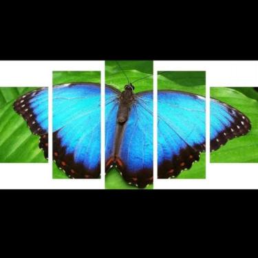 Imagem de quadro decorativo 5 peças modelo   borboleta grande - autopc