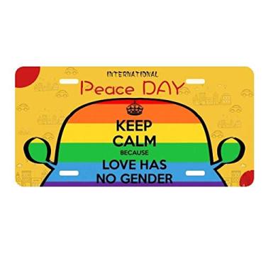 Imagem de DIYthinker Placa de licença Gay Lesbian Transgênero Bisexuals LGBT Decoração de carro Dia da Paz