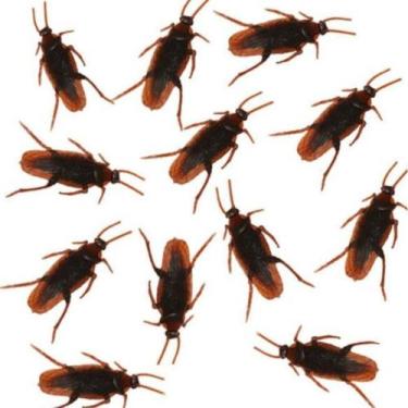 Imagem de 10 Baratas Falsa De Mentira Susto Brincadeira Inseto 5cm - PL