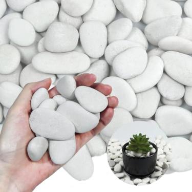 Imagem de Lechloris 20Ib Pearl Branco River Rocks para Paisagismo - Seixos Polidos para Plantas - Pedras Decorativas de Jardim - Rochas de Plantas de 1-1,5 ", Ideais para Aquário, Decoração de Casa, Terrário