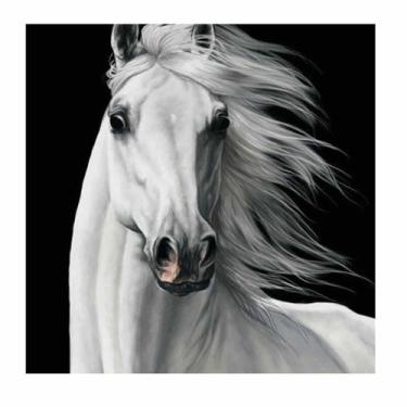 Imagem de Artesanato Pintura Diamante Diy 30X40 - WHITE HORSE II - PPSHOP