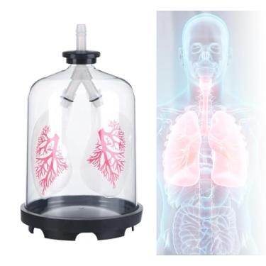 Imagem de Simulador de movimento de diafragma, modelo de respiração pulmonar, modelo de anatomia pulmonar, auxiliares de ensino de biologia para estudantes de medicina, laboratórios e salas de aula.