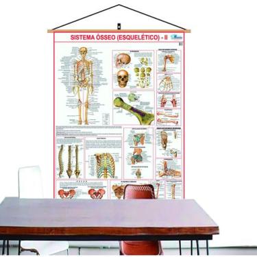 Imagem de Mapa Do Corpo Humano Sistema Esqueletico 2 - Banner Para Pendurar Envi