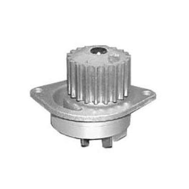 Imagem de Bomba Dagua Com Polia 952504 Indisa