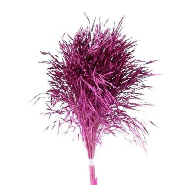 Imagem de Capim Chorão Pink - Pense Flores