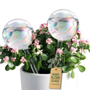 Imagem de Soilagua Globos de irrigação de plantas de vidro transparente extragrossos, globos de autorirrigação gradiente arco-íris, irrigador automático de plantas, dispositivos de inserção de plantador